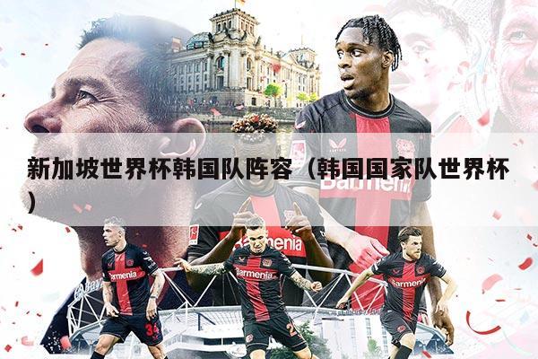 新加坡世界杯韩国队阵容（韩国国家队世界杯）