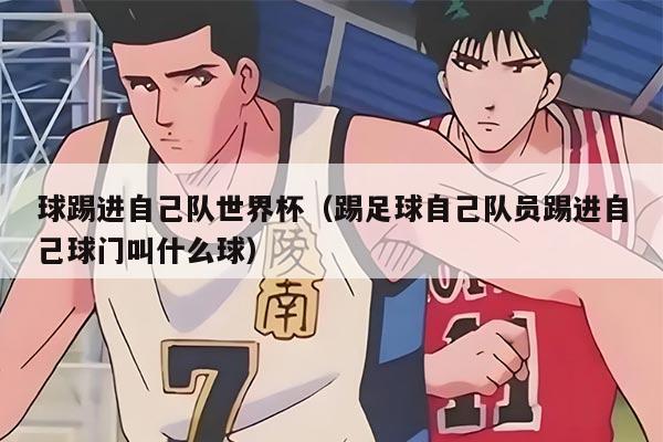 球踢进自己队世界杯（踢足球自己队员踢进自己球门叫什么球）