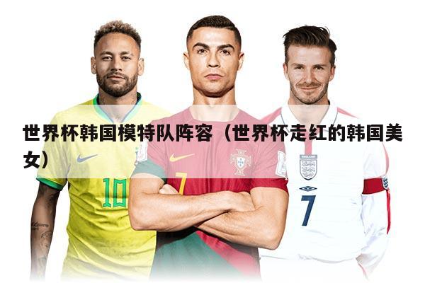 世界杯韩国模特队阵容（世界杯走红的韩国美女）
