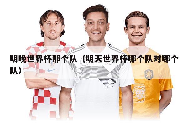 明晚世界杯那个队（明天世界杯哪个队对哪个队）