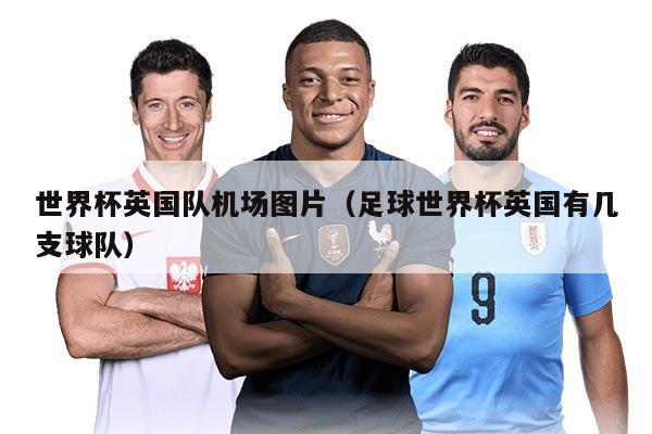 世界杯英国队机场图片（足球世界杯英国有几支球队）