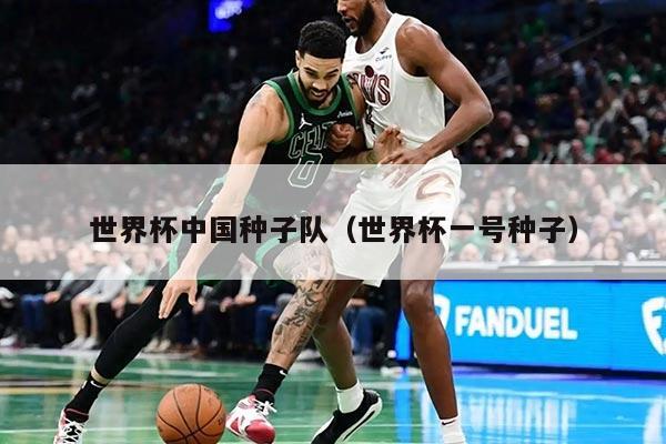世界杯中国种子队（世界杯一号种子）