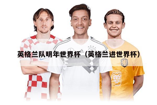 英格兰队明年世界杯（英格兰进世界杯）