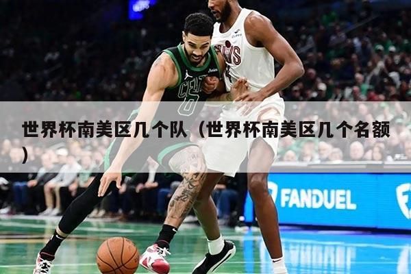 世界杯南美区几个队(世界杯南美区几个名额)